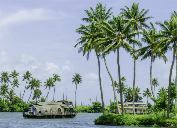 Mini Kerala